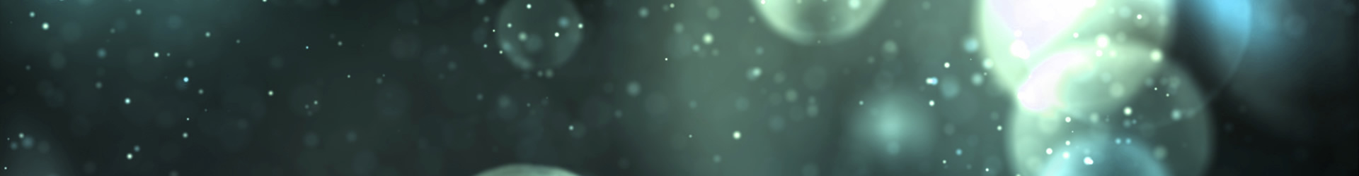 Xaveriuscollege Lagere School